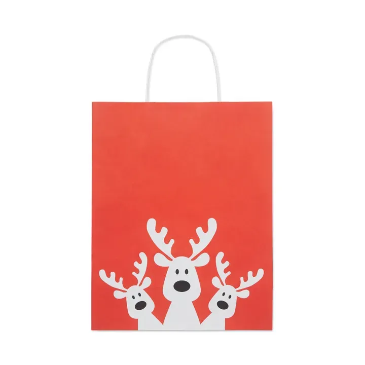 Gift paper bag medium - CX1565 (MOCN#05)
